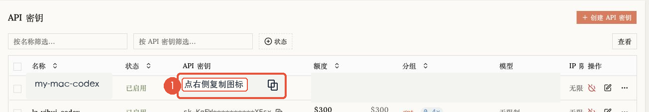 在 API 密钥列表中复制新创建的 Key